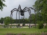 Movement Gallery / Title: Giant Spider, Louvre, Paris 2008 / Picture 6