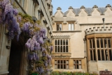 Travel Gallery / Title: Jesus College, Oxford / Picture 21