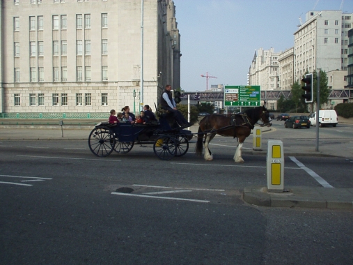 Liverpool, Horse Transport, UK 2008